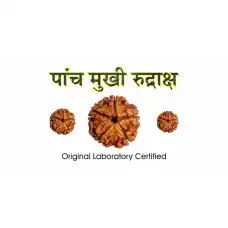 5 Mukhi Rudraksh (2.0)